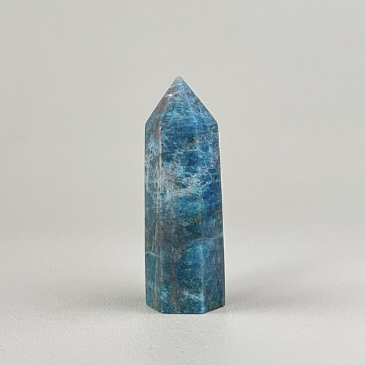 磷灰石晶柱 AP003 (Apatite)